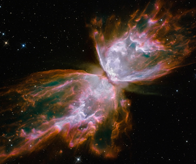 HubbleButterfly_1_540x645.jpg