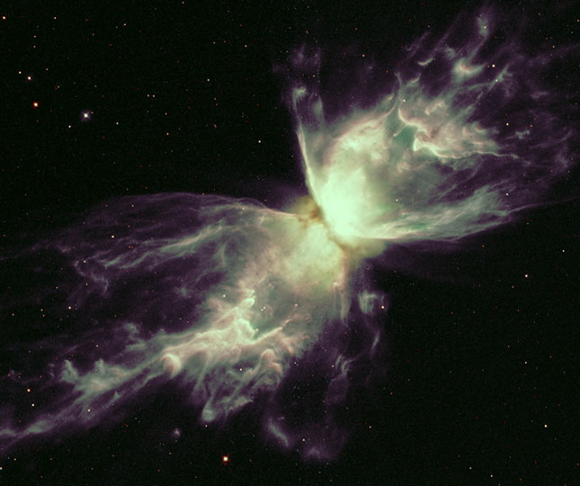 Buterfly Nebula