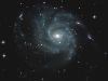 Pinwheel Galaxy