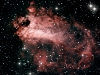 Swan Nebula